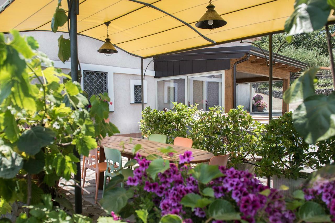 Villa Seacily Etna House à Piedimonte Etneo Extérieur photo